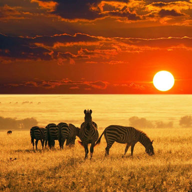 africa-tours.jpg