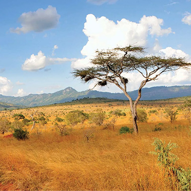kenya1.jpg