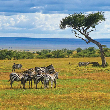 kenya2.jpg